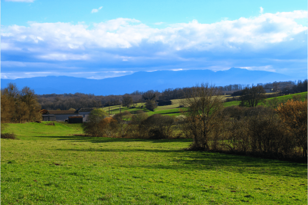 Abbaye de Bonnefont - Petites Pyrénées