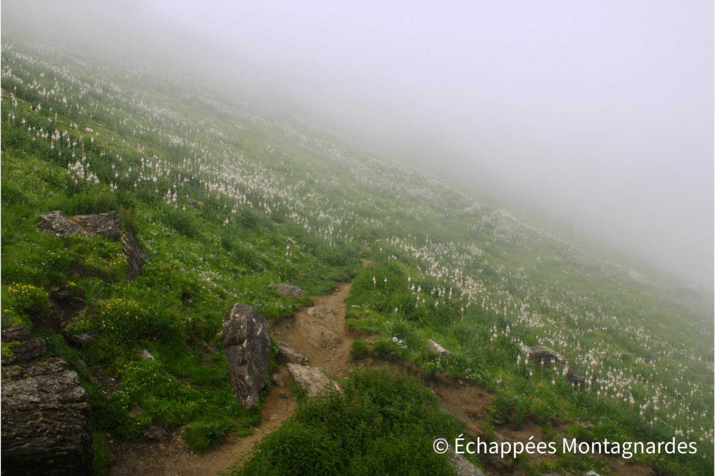 Épais brouillard sur le chemin de Tournaboup