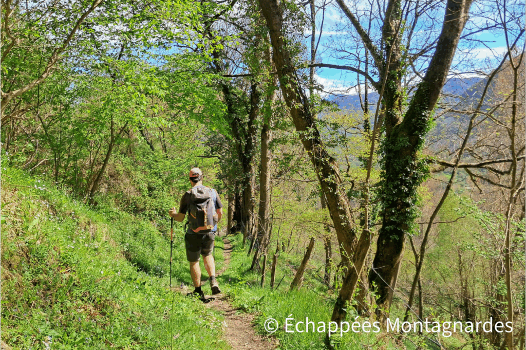 Nous terminons cette randonnée par une belle descente entre prés et bois. Nous passons par Aynat et arrivons peu après à Bédeilhac, qui marque la fin d'une superbe sortie !