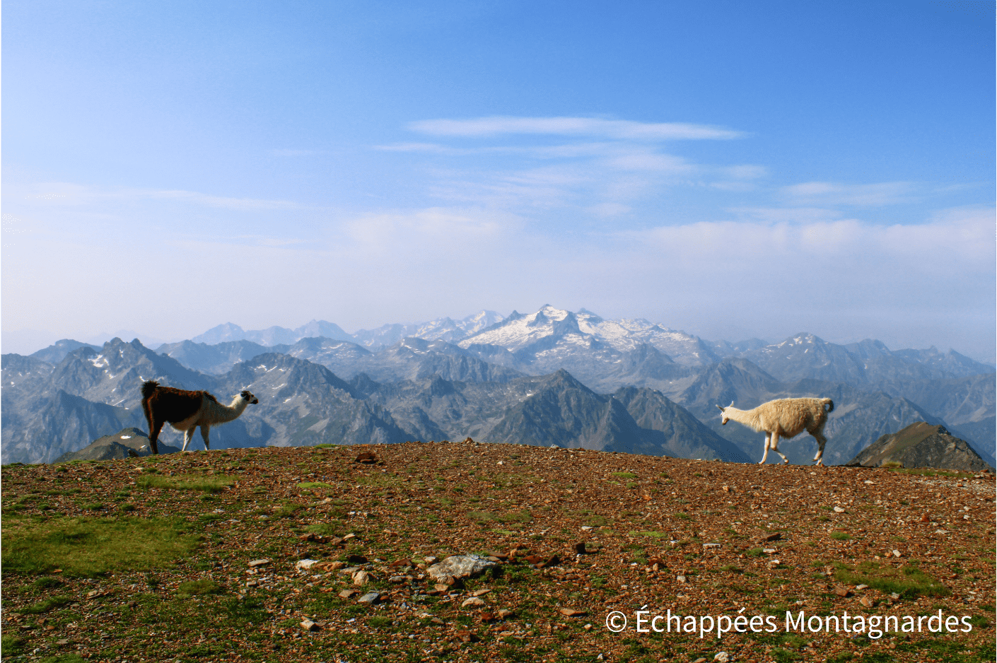 Un air de cordillère des Andes au cœur de la Bigorre