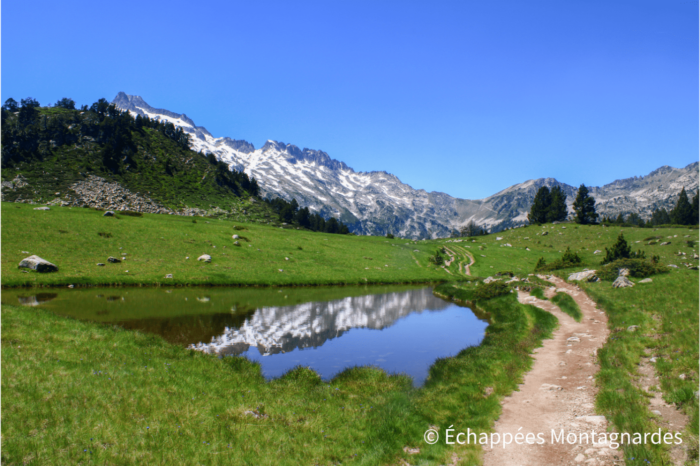 Reflets dans un laquet