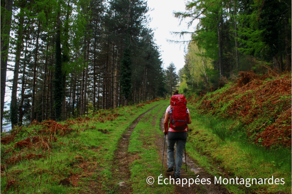 Il est temps de débuter cette randonnée. Nous grimpons, en forêt, sur de larges chemins très paisibles. La montée se fait en douceur et nous arrivons, un moment plus tard, au roc du Taus