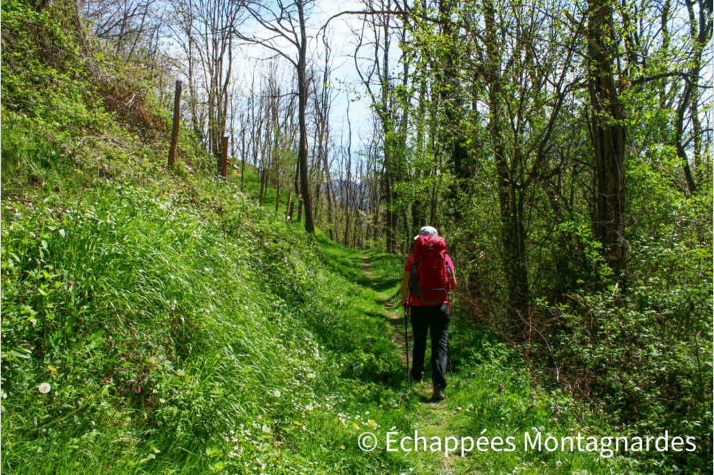 Nous grimpons maintenant en direction de la tour de Montorgueil. En fait, nous montons même un peu plus haut, vers les lieux-dits accrochés au versant sud de l'Arize