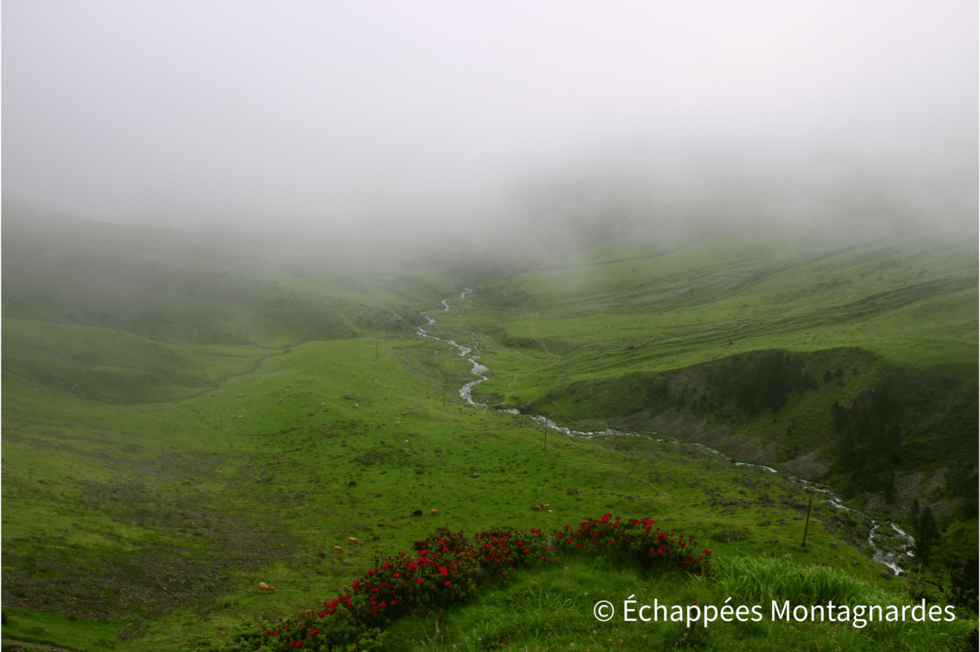 Vallée du Garet dans le brouillard