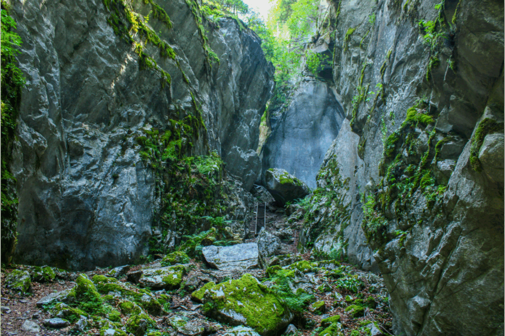Le GR®5 passe au cœur des gorges des Tines : ce sentier est spectaculaire !