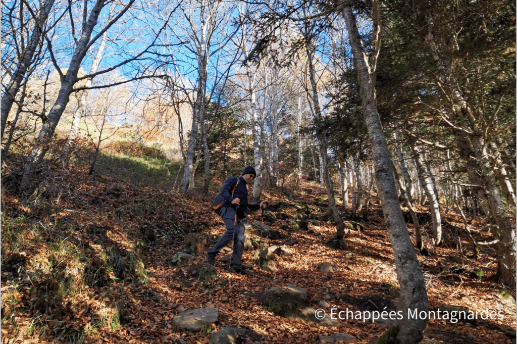 Descente dans les bois pour la fin de la randonnée. Quelle journée magnifique !