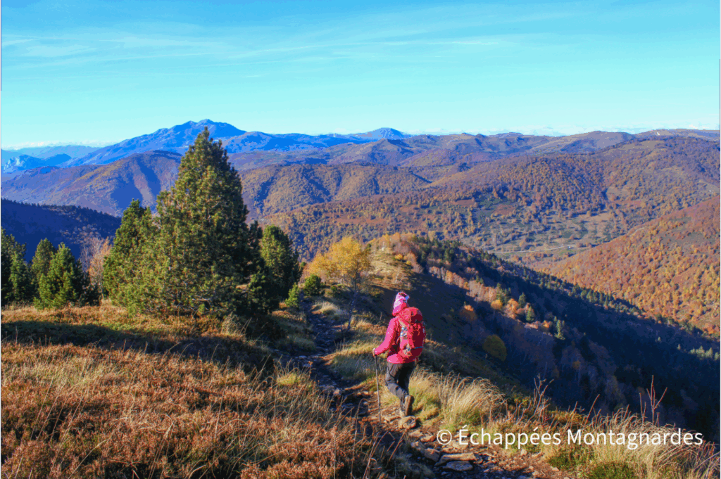 Descente par le même itinéraire. Il faut poser un peu les mains dans les portions rocheuses. Ensuite, aucune difficulté à signaler