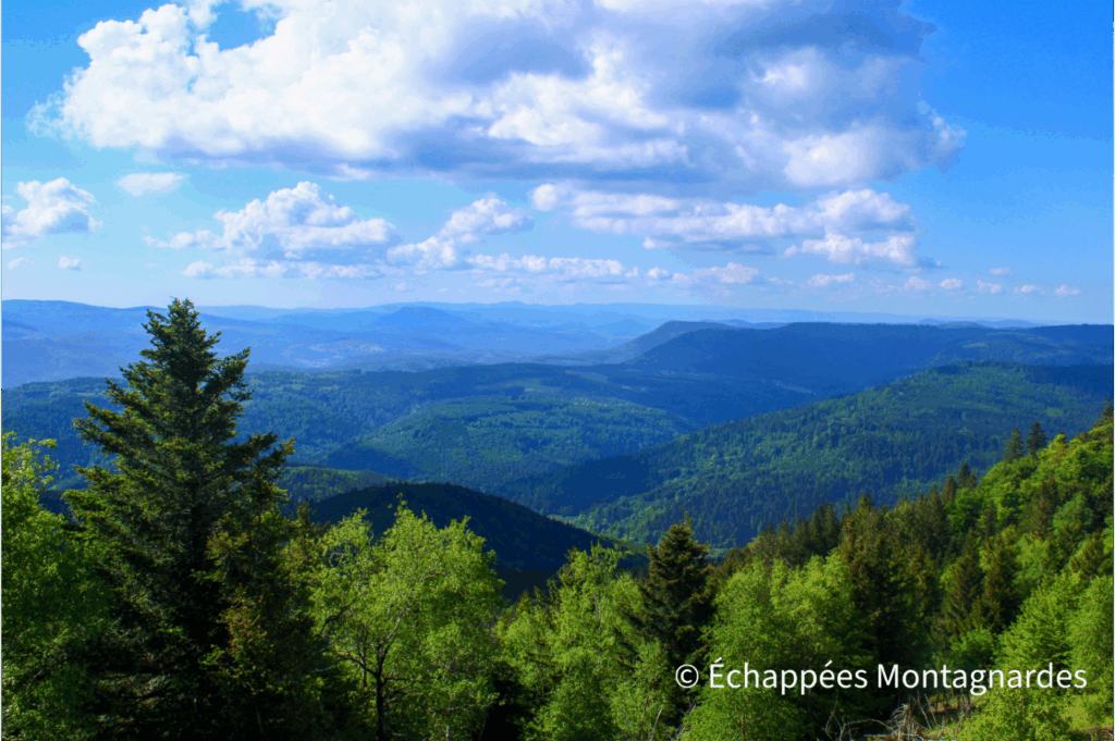 Panorama sur les montagnes vosgiennes, GR® de Pays de la Déodatie - boucle sud