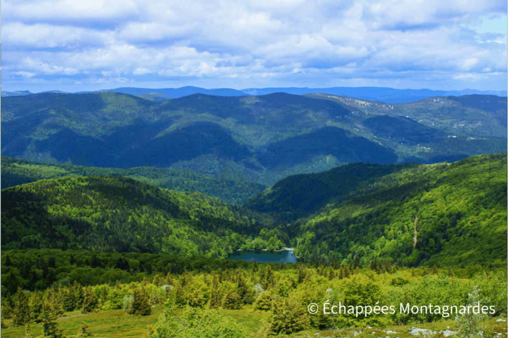 Panorama depuis le Grand Ballon sur le GR®532