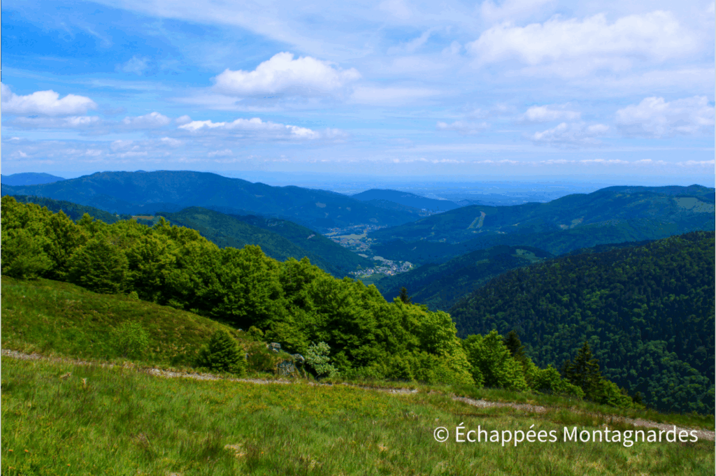 Panorama au Ballon d'Alsace, départ du GR®7