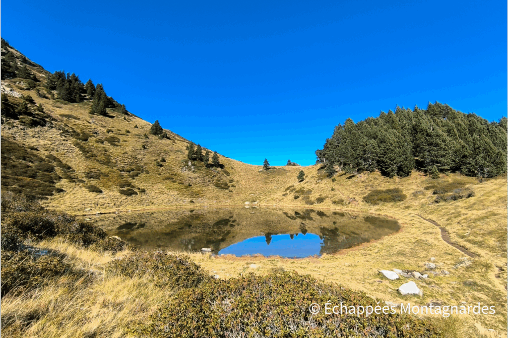 Plus loin, nous descendons vers le petit étang de la Pée