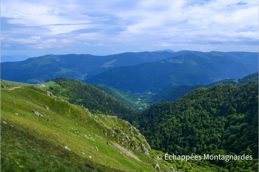 Au sommet du Hohneck sur le GR® de Pays tour de la Vologne