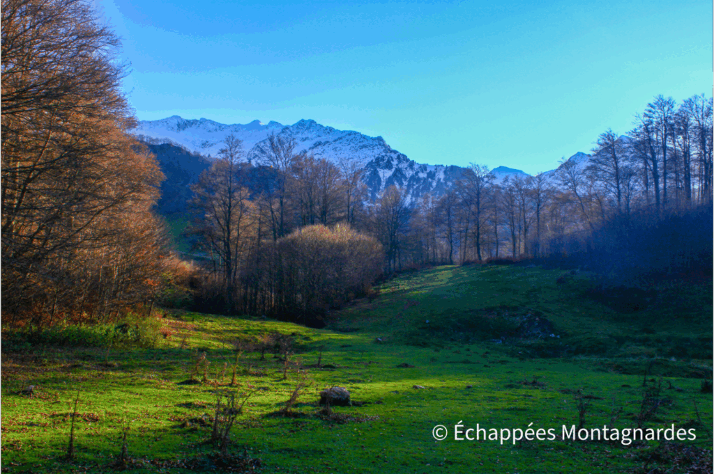 Cabanatous plateau de Coumebière