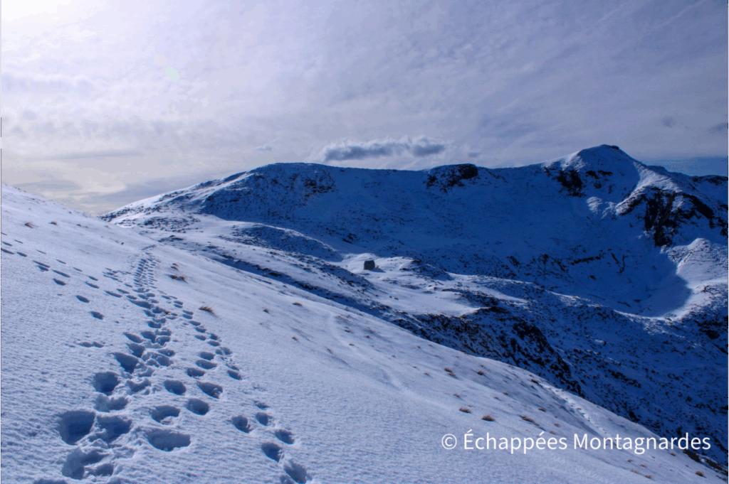 Calabasse - vers col de la Terme