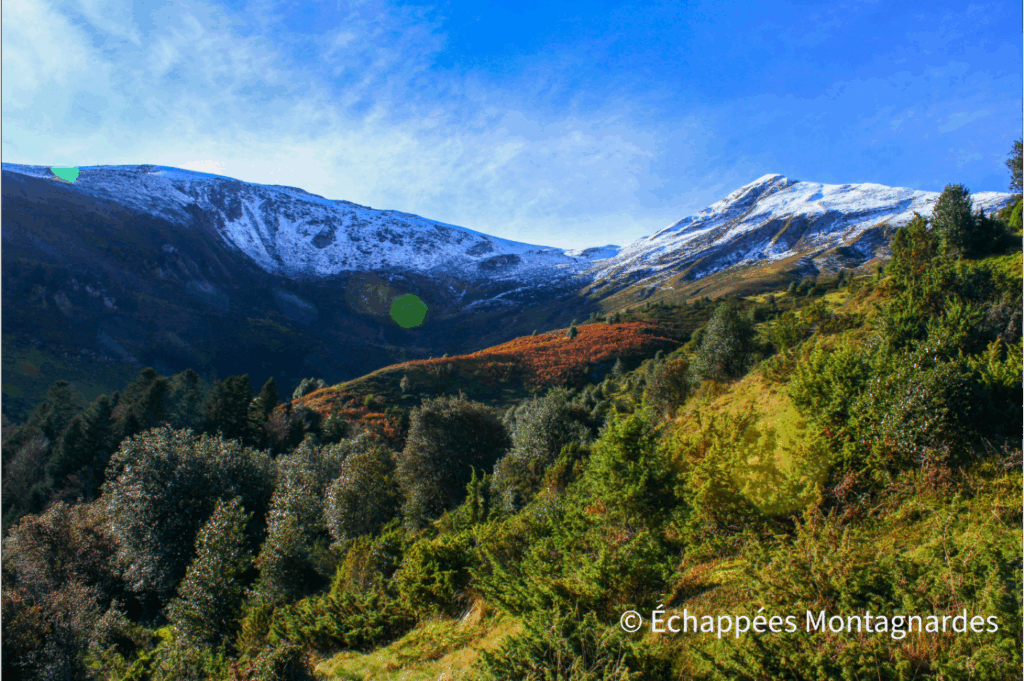 Calabasse - vue crêtes depuis cabane Barguérasses