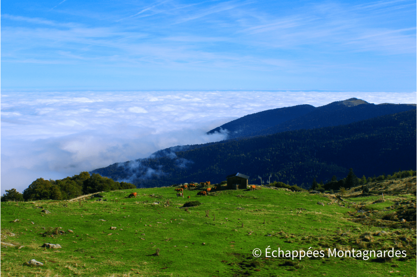 Etang d'Appy mer de nuages Monts d'Olmes