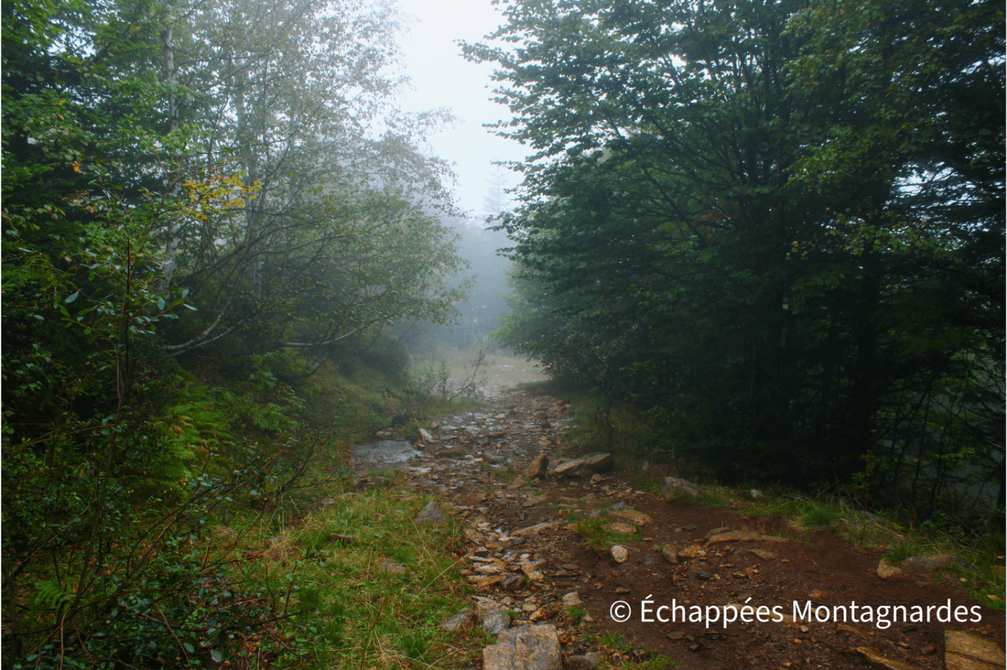 Etang d'Appy rando brouillard