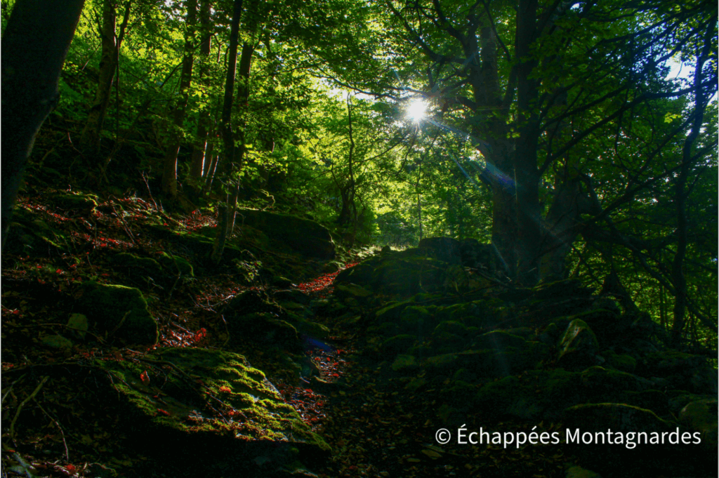 Etang d'Izourt montée variante GR10