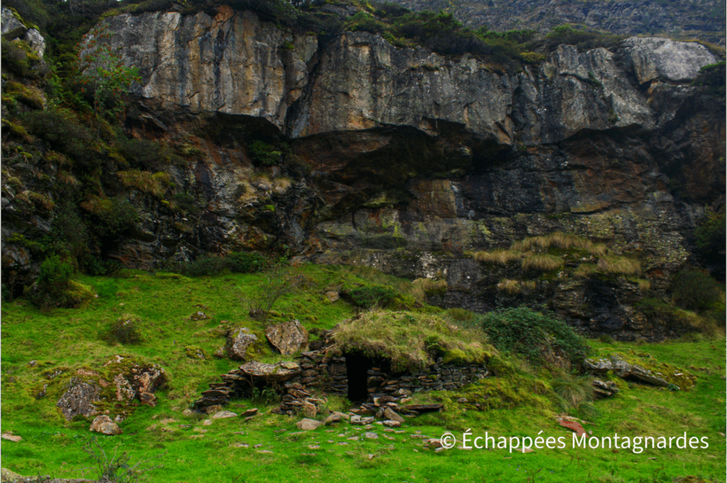 Etang d'Izourt orris