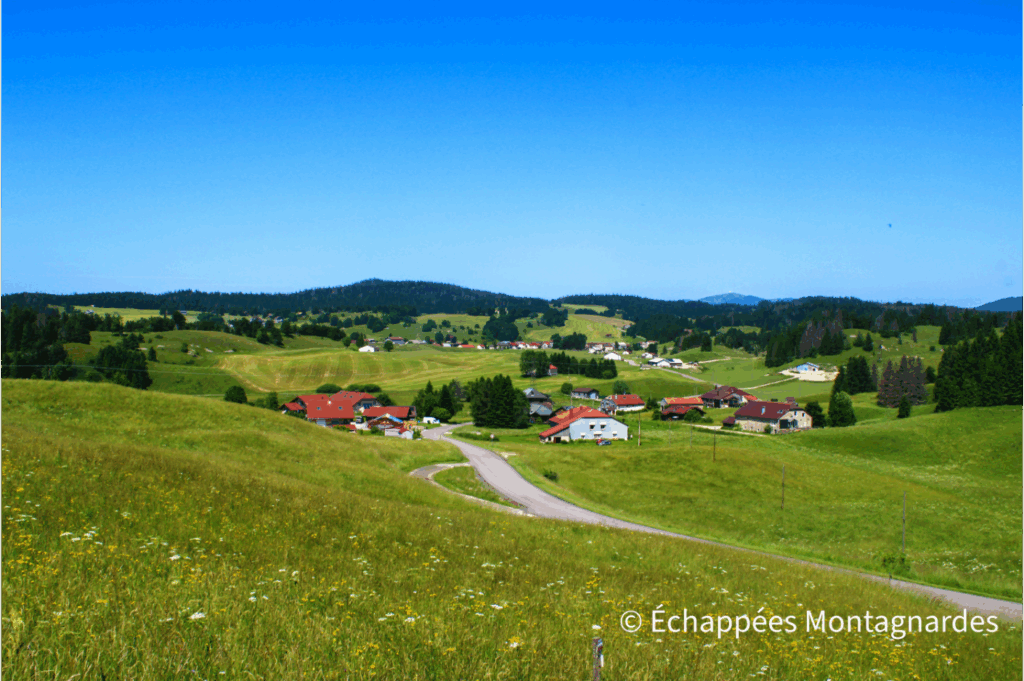GR du Jura : photo du GR de Pays tour du Haut-Jura sud