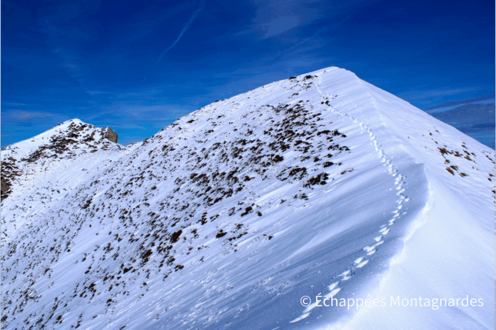 Pic de Cabanatous enneigé randonnée