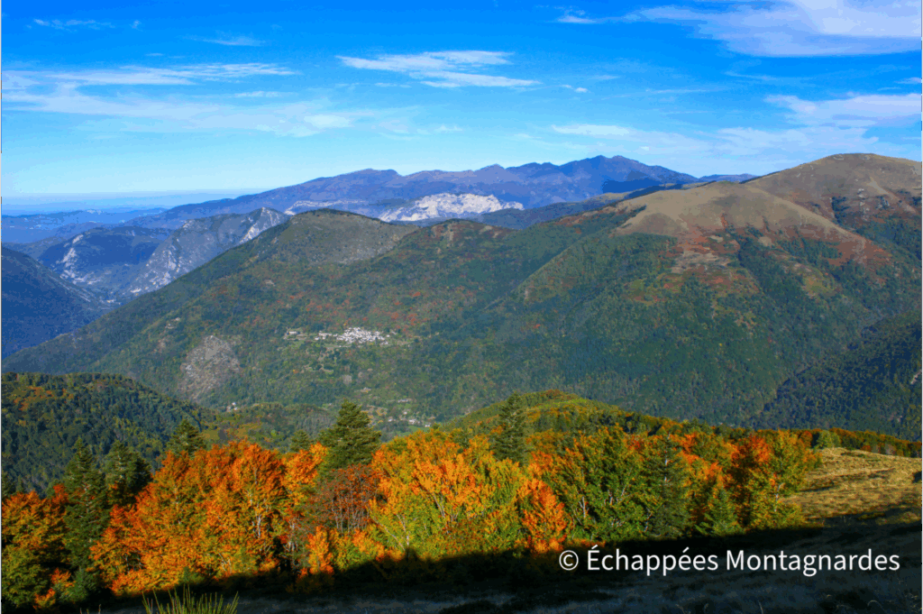 Pique d'Endron couleurs d'automne