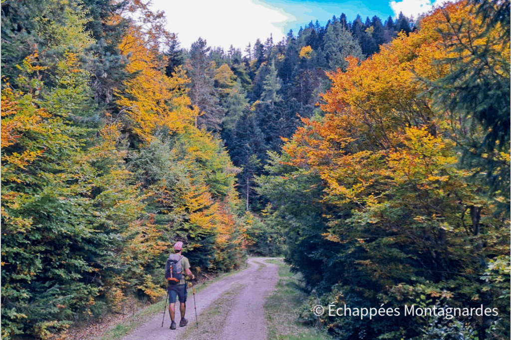 Pique d'Endron randonnée couleurs automne