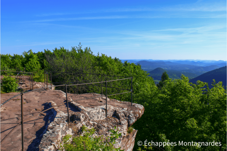 Château du Loewenstein - traversée des Vosges