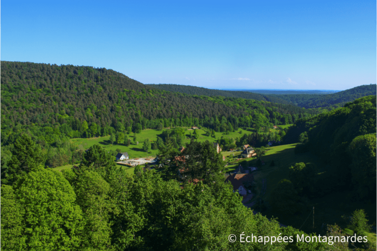 château du Vieux-Windstein