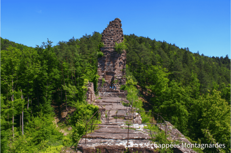château de Wasigenstein - Vosges du Nord