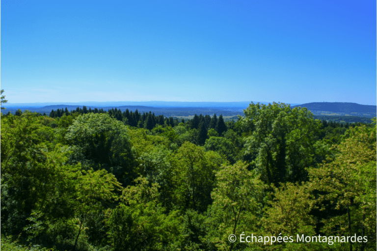 Panorama depuis le fort de Giromagny, vue jusqu'aux Alpes
