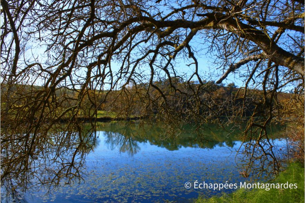 Lac de la Thésauque nature