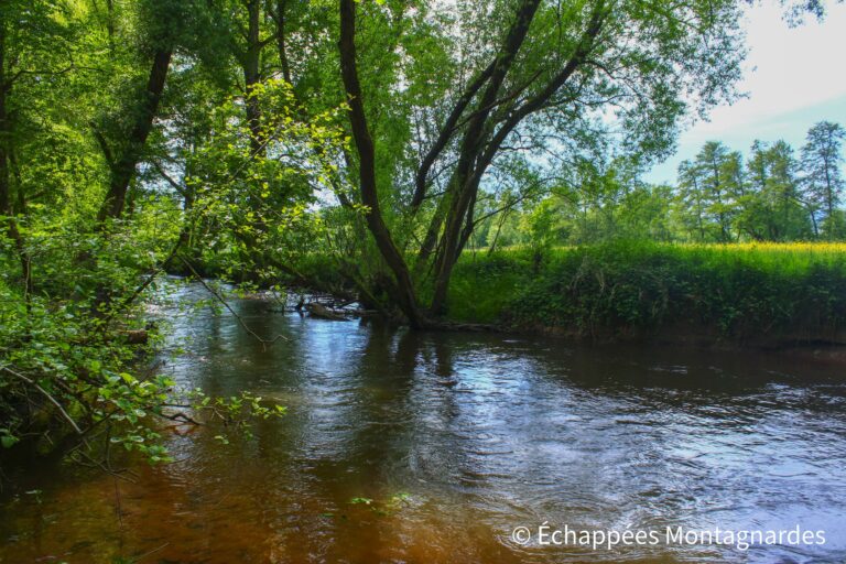 Rivière Lauter frontière franco-allemande