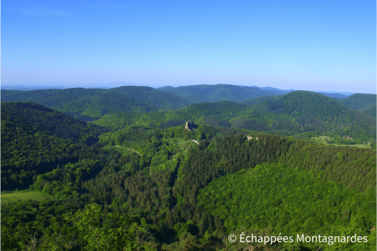Château de Loewenstein