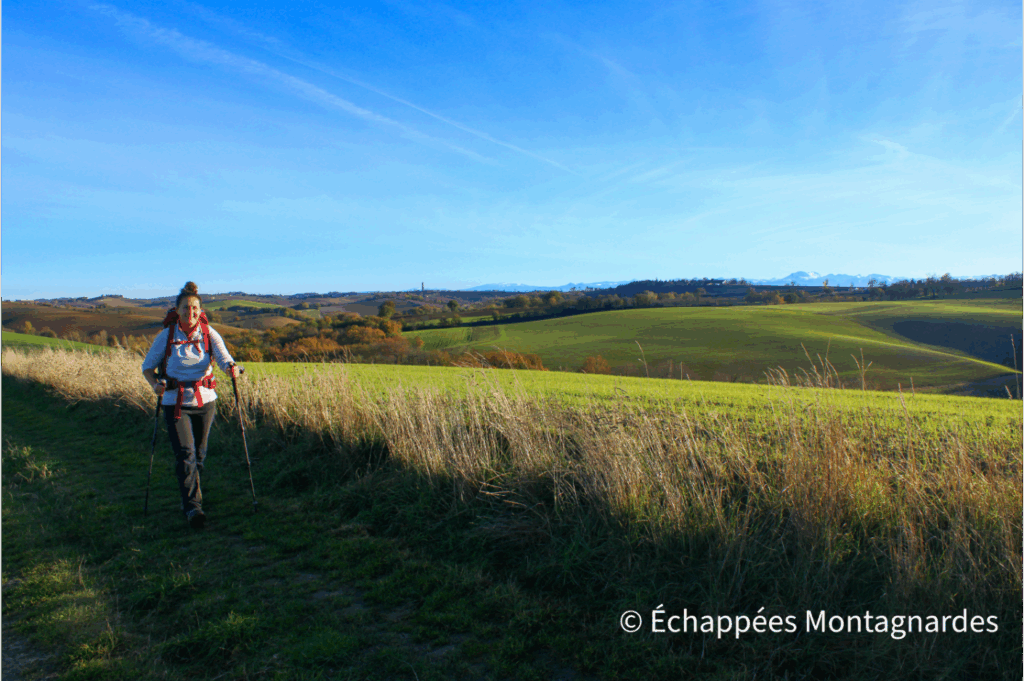 Randonnée Nailloux Montgeard vue Pyrénées