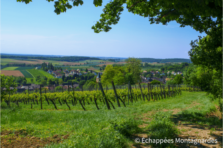 Roth traversée des Vosges
