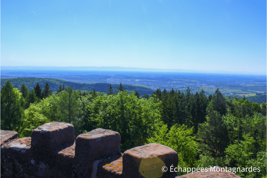 tour du Grand Wintersberg panorama