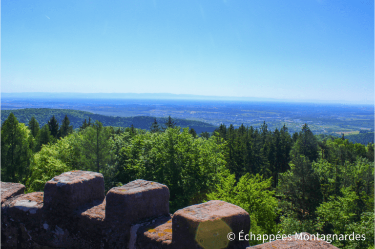 tour du Grand Wintersberg panorama