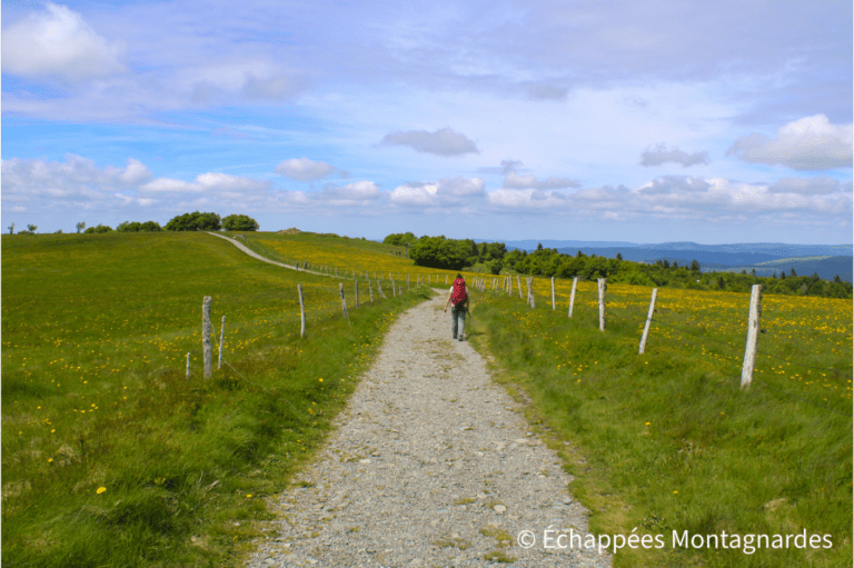 chemin au sommet du Ballon d'Alsace