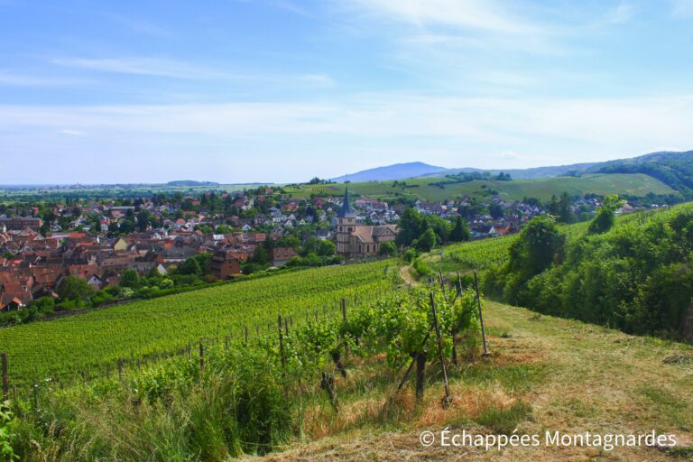 Barr traversée des Vosges à pied