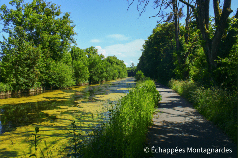 Direction Fesches-le-Châtel, le long du canal de Montbéliard à la Haute-Saône - gr5