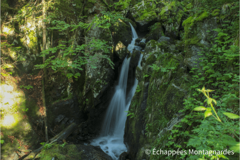 Cascade du Saut de la Truite GR5