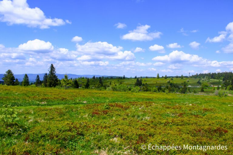 Champ du Feu traversee Vosges