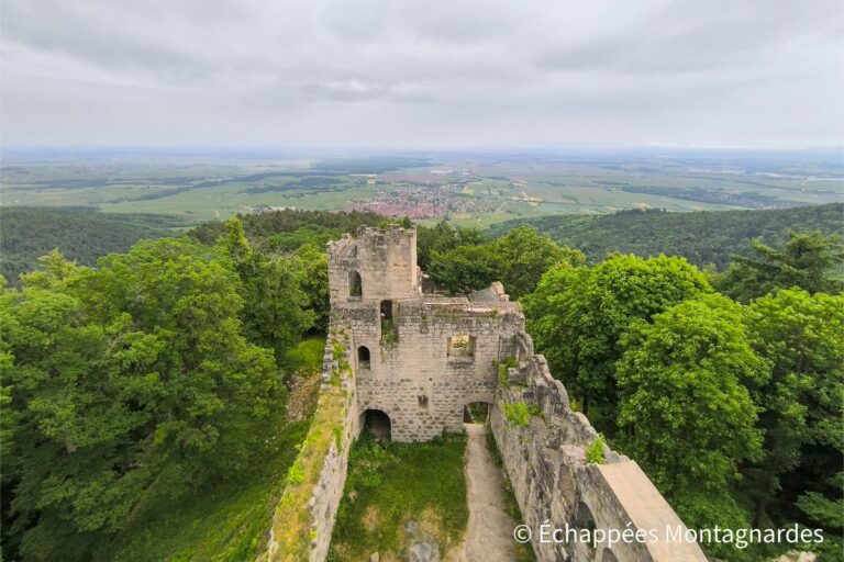 Château de Bernstein - traversée des Vosges