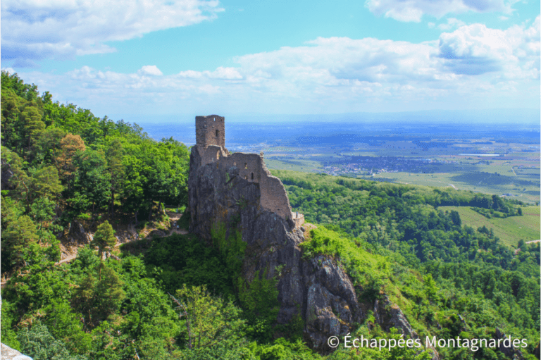 Château du Girsberg Ribeauvillé