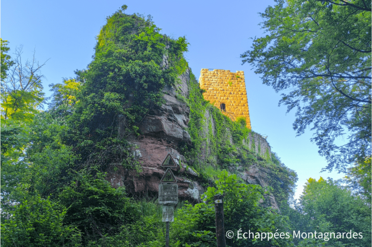 château du Grand Arnsbourg