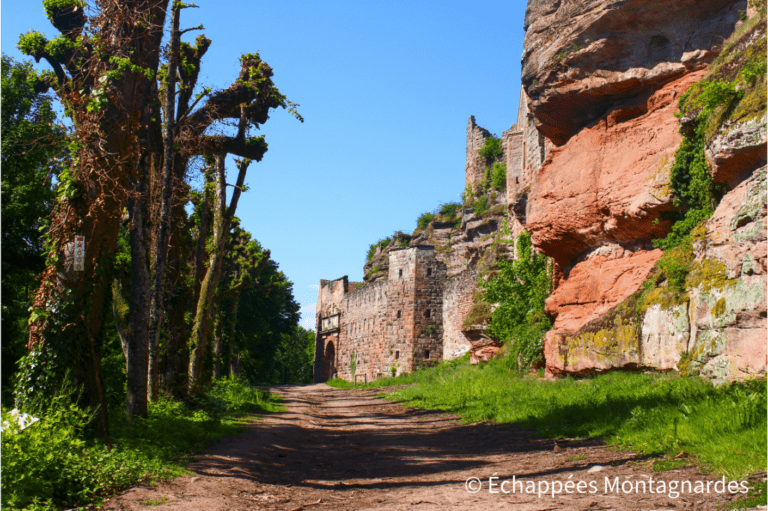 château du Haut-Barr