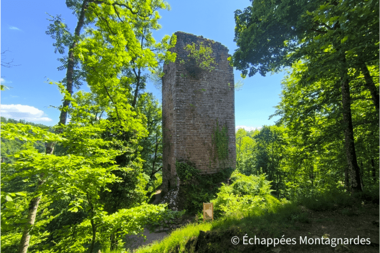 Château ruiné du Nideck - traversée des Vosges