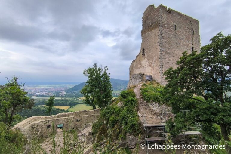 Ruines du château de Ramstein - gr5