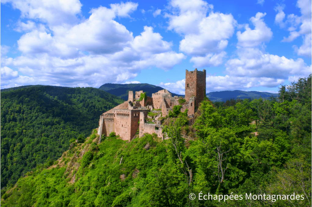 Château de Saint-Ulrich - Ribeauvillé, traversée des Vosges
